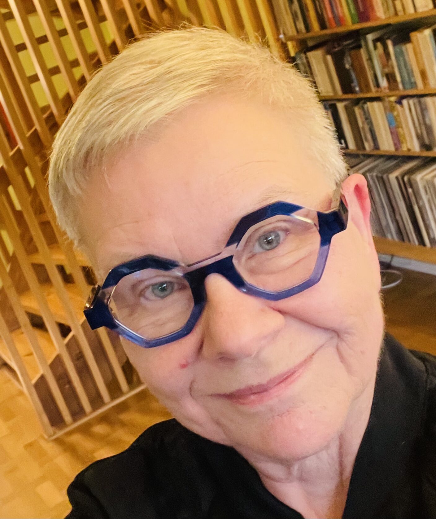 Eva Hemmungs Wirtén